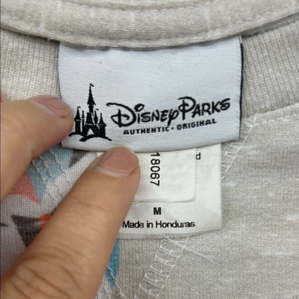 Disney Parks Jam On Country Bears Sweatshirt with Colorful Accents - Picture 3 of 4
